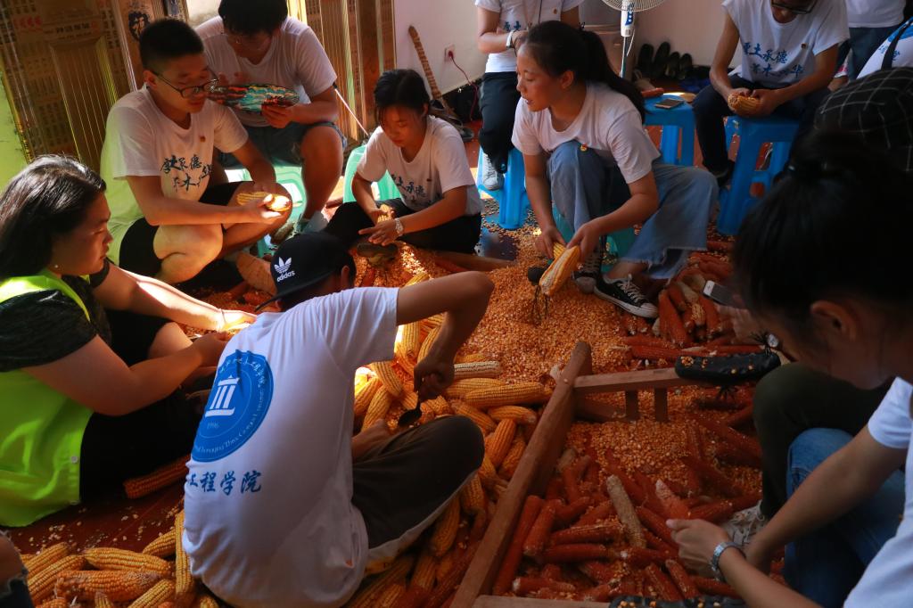 44118太阳成tyc城集团